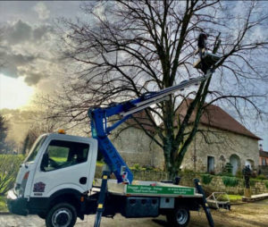 élagage d'arbre dangereux à Dijon