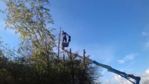 elagage rapide avec camion nacelle pas cher